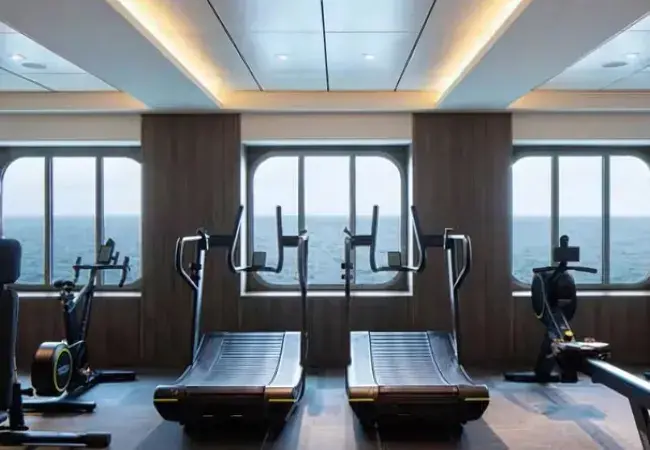 The Gym and Fitness Studio